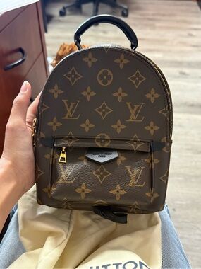 Louis Vuitton Brown Monogram Palm Springs Mini Backpack authentic